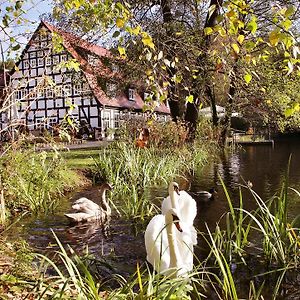 Springbach-Mühle Belzig